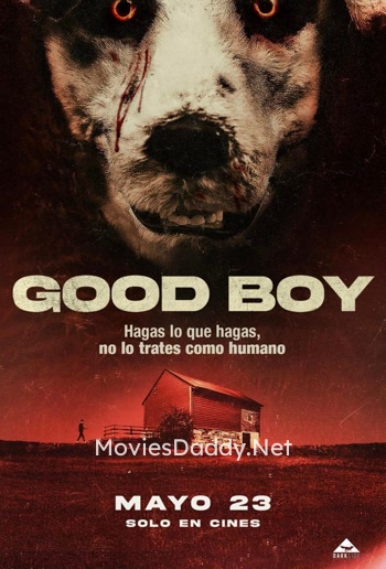 Good Boy (2022)